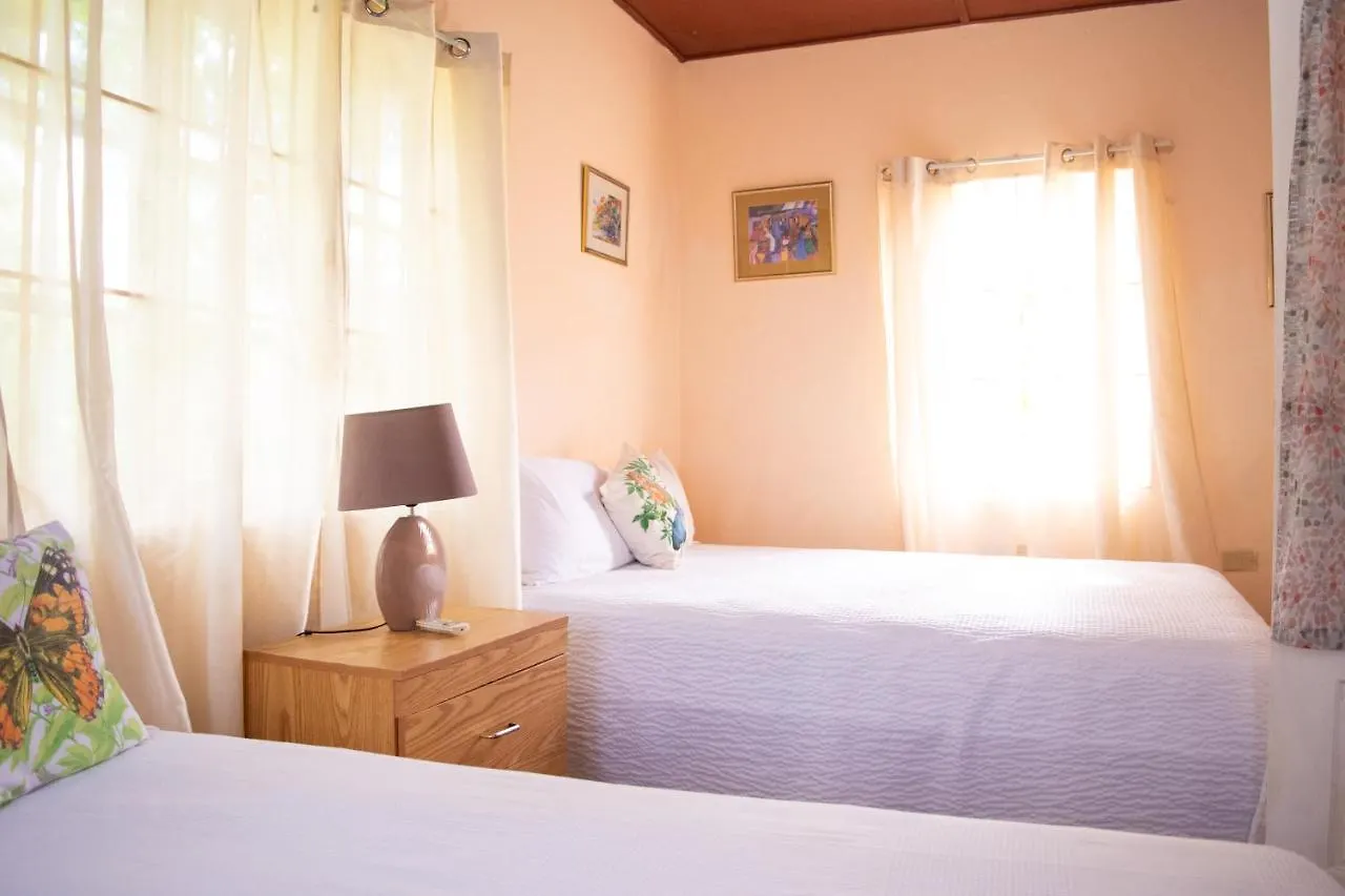 Sinopia Inn Port Antonio