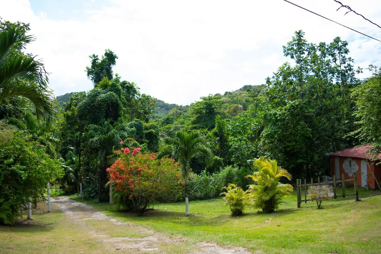 Sinopia Inn Port Antonio
